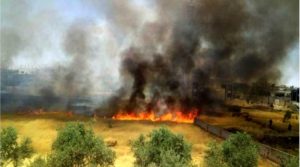حرائق المحاصيل الزراعية مستمرة في التهام مجهود الفلاحين في درعا