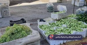 أسعار بعض المواد في محافظة درعا 24أيلول