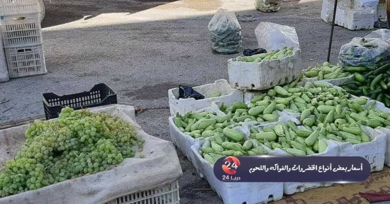أسعار بعض أنواع الخضروات والفواكه واللحوم