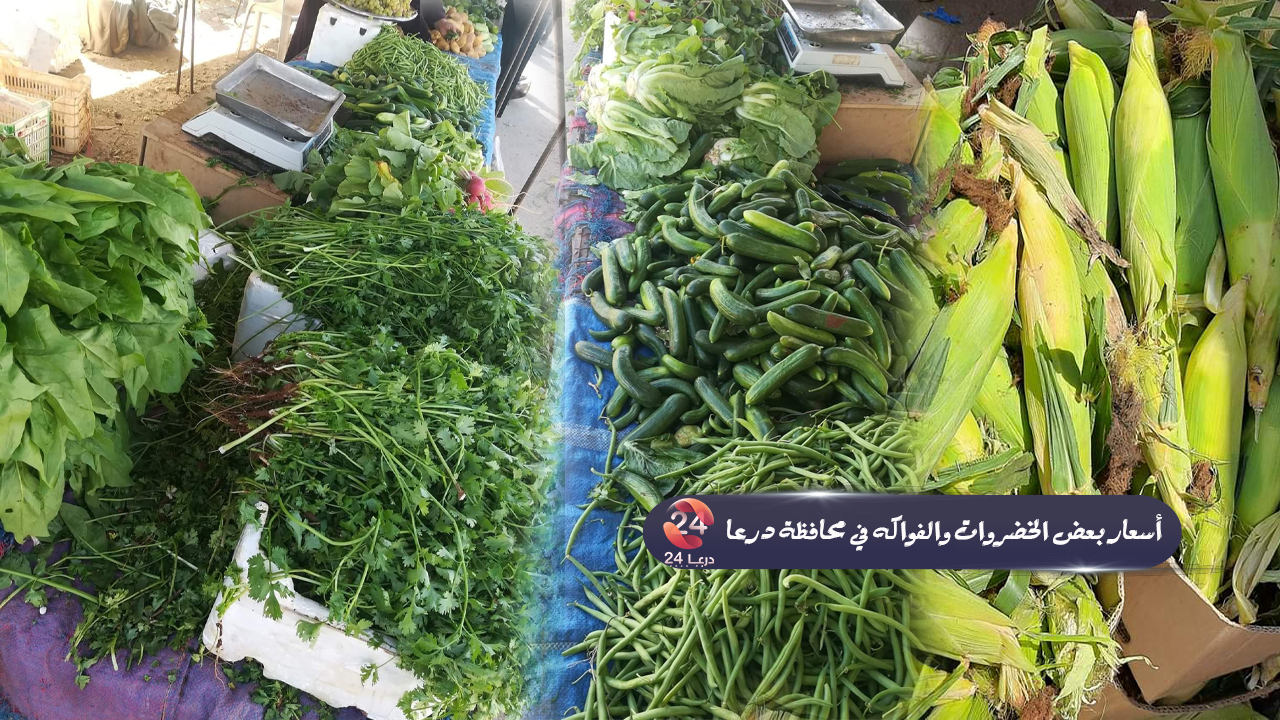 اسعار بعض انواع الخضروات والفواكه في محافظة درعا
