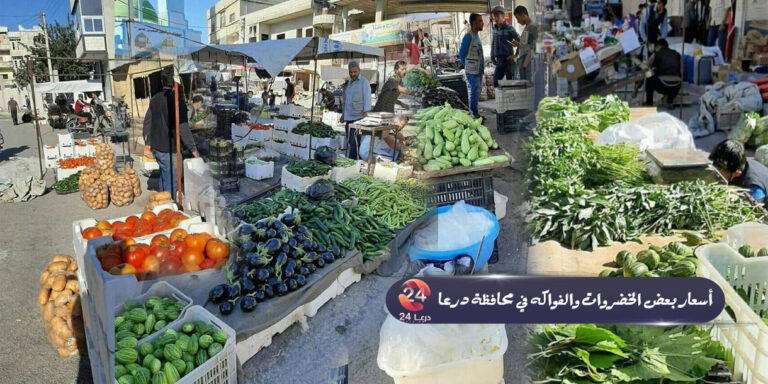 أسعار بعض أنواع اللحوم والخضروات والفواكه في محافظة درعا