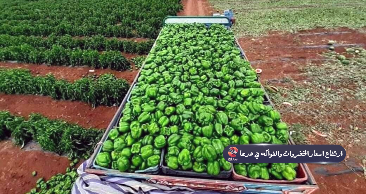 ارتفاع اسعار الخضروات والفواكه في محافظة درعا