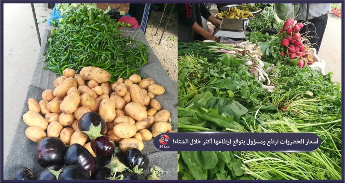 أسعار الخضروات ترتفع ومسؤول يتوقع ارتفاعها أكثر خلال الشتاء!