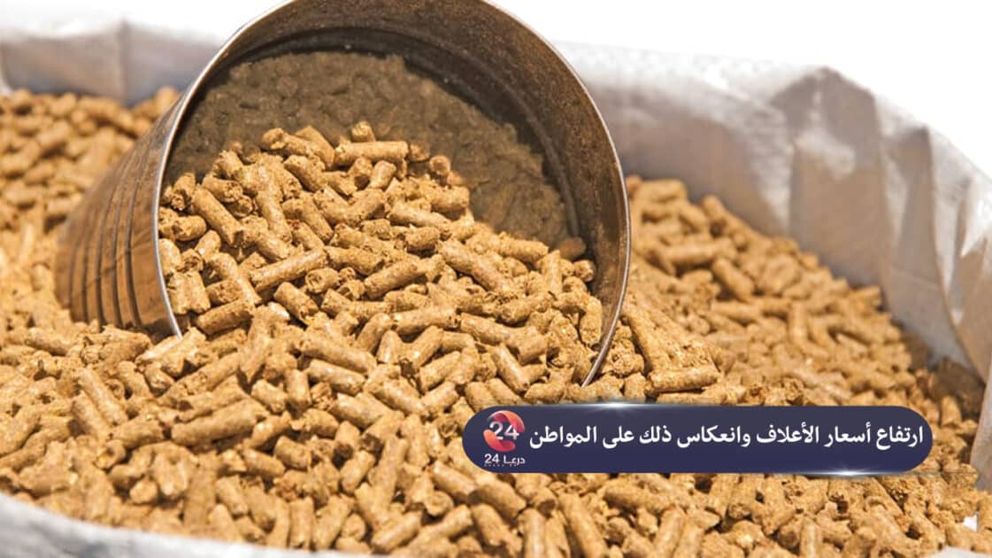 ارتفاع أسعار الأعلاف وانعكاس ذلك على المواطن 51 الكسبة - ارتفاع أسعار الأعلاف وانعكاس ذلك على المواطن