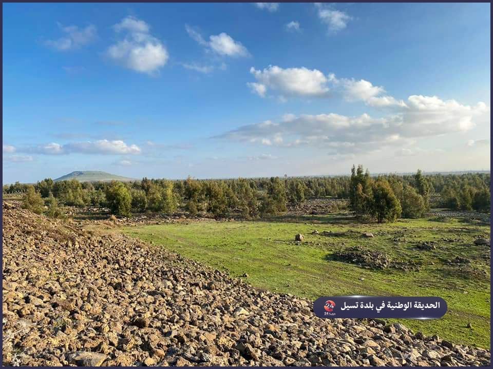 الحديقة الوطنية في بلدة تسيل غربي درعا