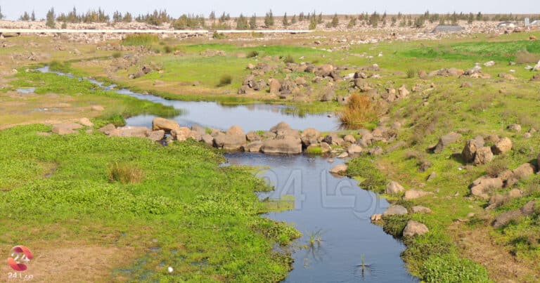 اوادي جعيلة بين داعل وابطع في ريف درعا