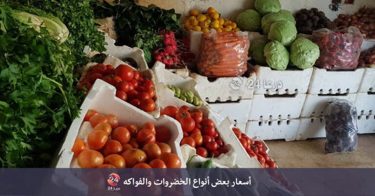 أسعار بعض أنواع الخضروات واللحوم والفواكه في محافظة درعا السبت 27-02-21