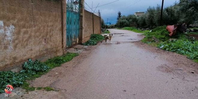 حوران في صور، مدينة الحراك 2 مدينة الحراك شرقي درعا