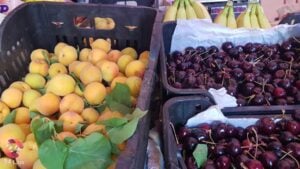 النشرة الأسبوعية لأسعار الخضروات والفواكه والألبان والأجبان في محافظة درعا