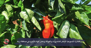 النشرة الأسبوعية لأسعار الخضروات والفواكه وبعض المواد الأُخرى في محافظة درعا