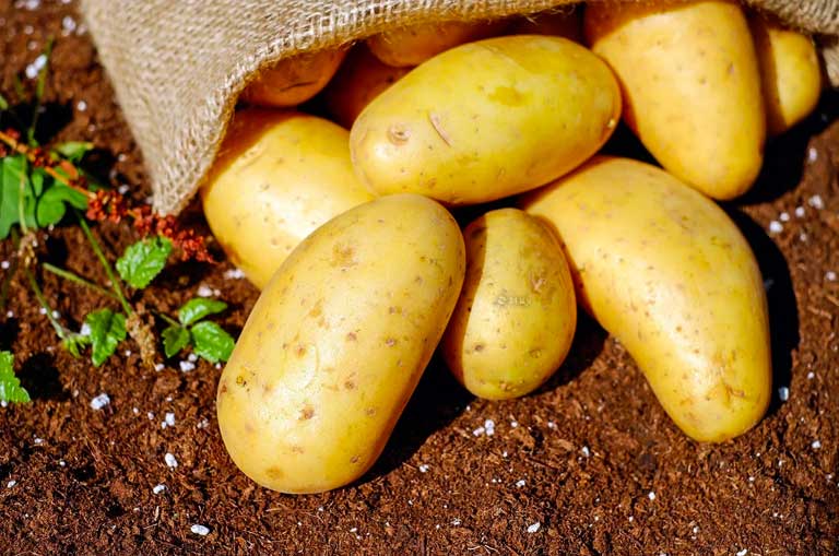 ارتفاع سعر البطاطا، ومسؤول في وزارة الزراعة: الشهر القادم سينخفض السعر