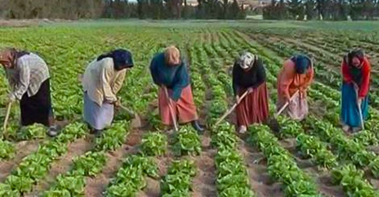 عمل المرأة في محافظة درعا