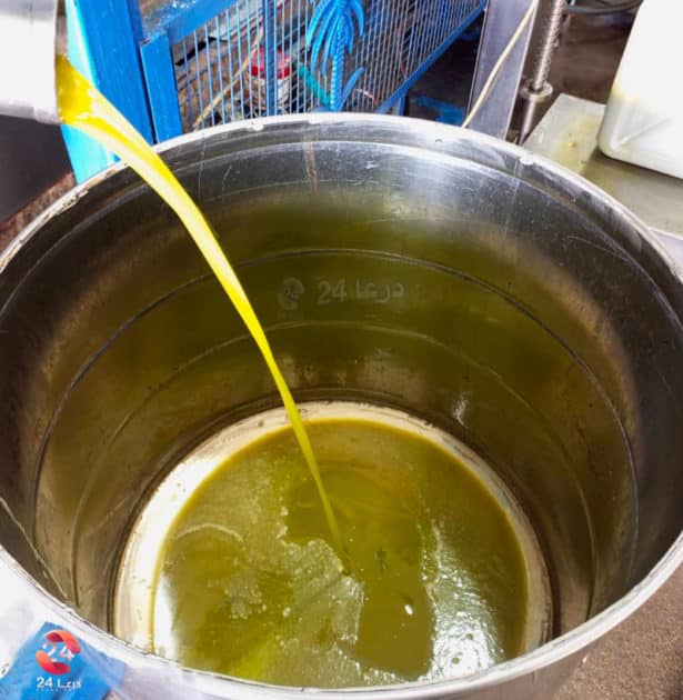 معصرة زيتون في محافظة درعا