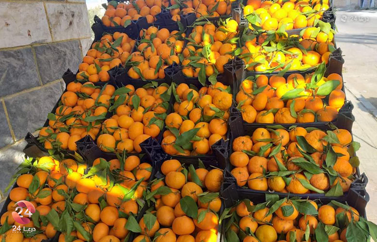 محل لبيع الخضروات والفواكه في محافظة درعا