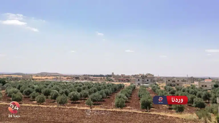 السهول المحيطة بمدينة جاسم