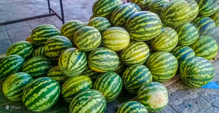 بطيخ أحمر