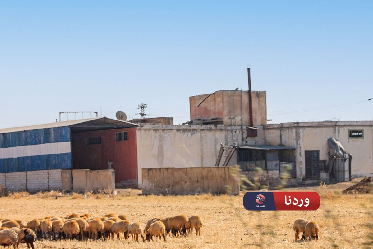 معصرة الشمري على الطريق الواصل بين بلدة المزيريب والأشعربي غربي طفس