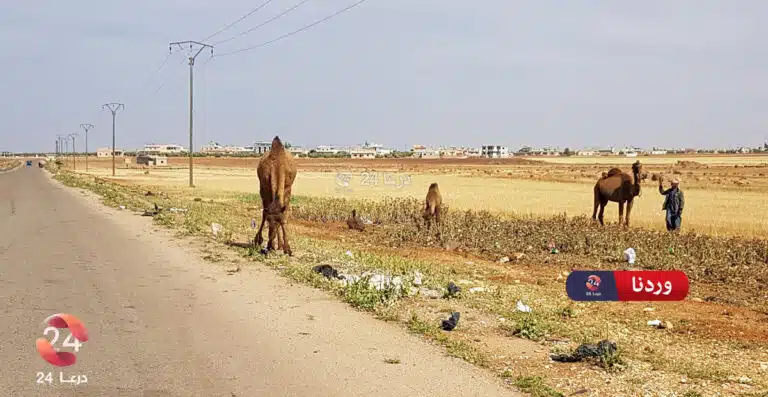 بلدة الجيزة في ريف درعا الشرقي