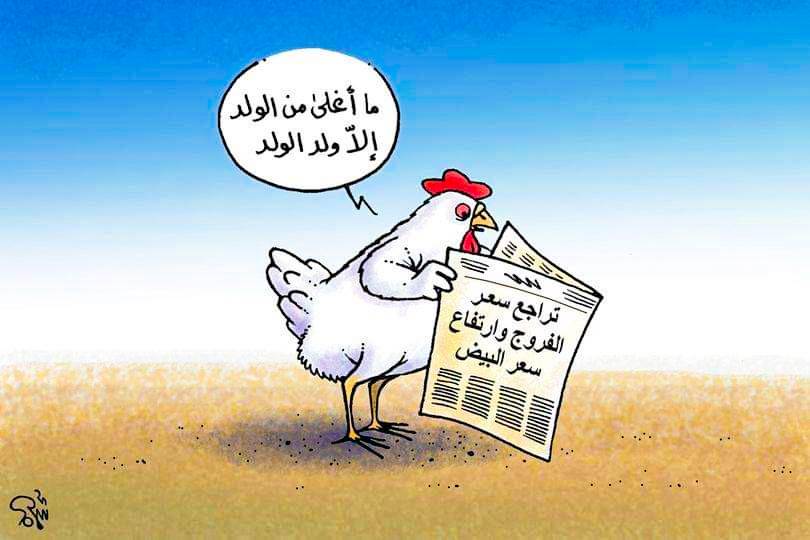 ارتفاع اسعار البيض كاريكاتير