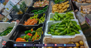 أسعار الخضروات والفواكه والمحروقات وبعض المواد الأُخرى في محافظة درعا في النصف الأول من شهر شباط 2023