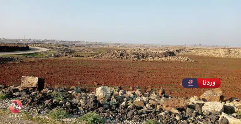 اللجاة