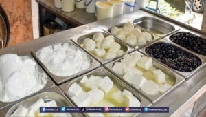 أسعار جديدة للألبان والأجبان مع حلول شهر رمضان