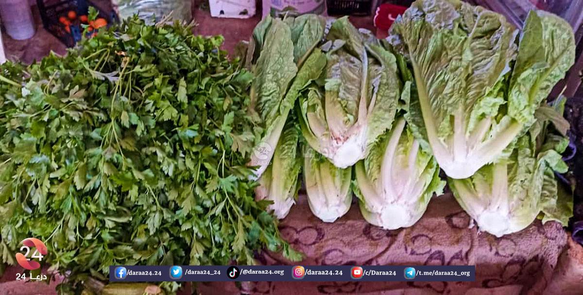 أسعار الخضروات والفواكه والمحروقات وبعض المواد الأُخرى في محافظة درعا في النصف الثاني من شهر آذار 2023