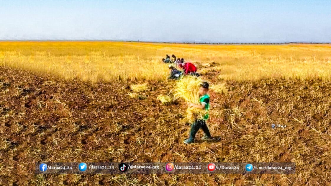 عمالة الأطفال في الزراعة والحصاد