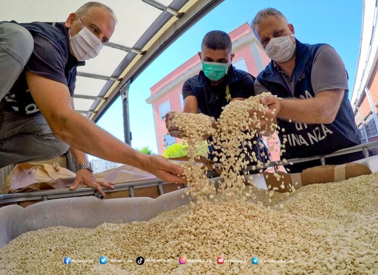 تجارة المخدرات في الجنوب السوري بين الموقف العربي والدولي والمحلي