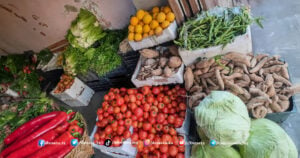 أسعار الخضروات والفواكه والمحروقات وبعض المواد الأُخرى في محافظة درعا خلال النصف الثاني من شهر كانون الثاني 2024