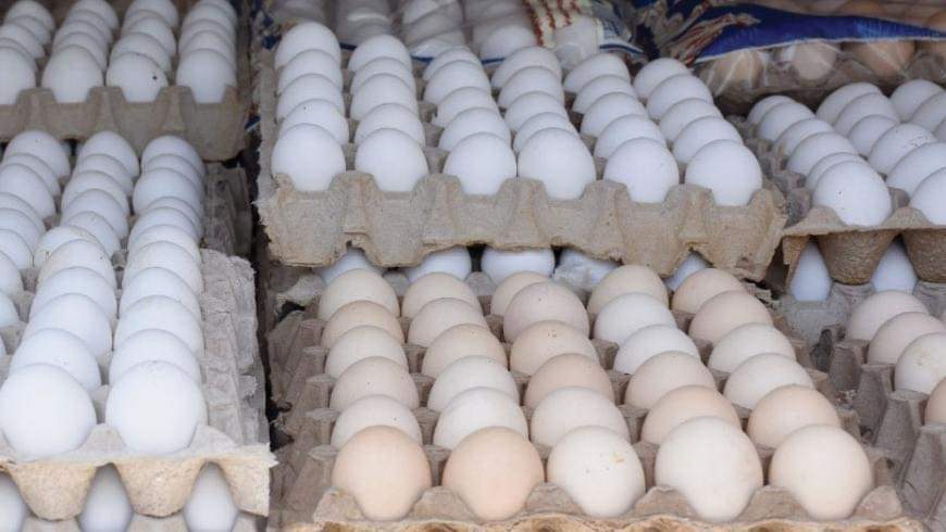 سعر طبق البيض يصل 60 ألف ليرة في درعا.