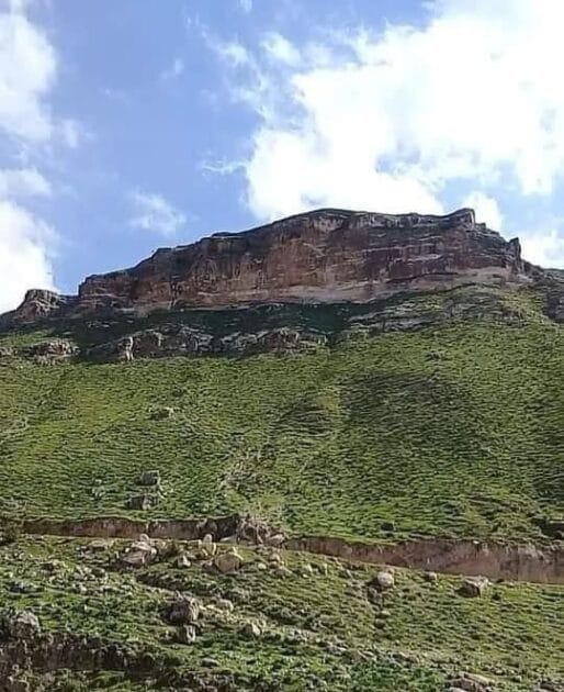 جملة جديدa