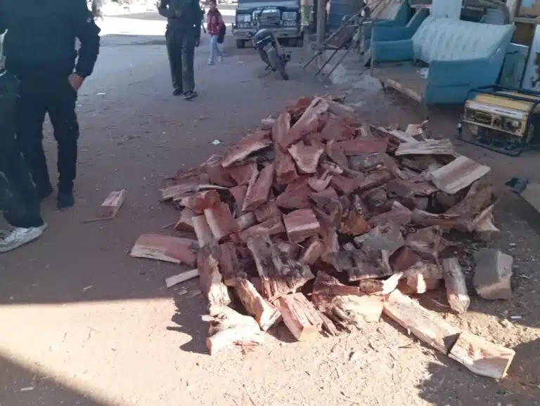 ظاهرة تحطيب الأشجار في المناطق العامة والأحراش في مدينة نوى