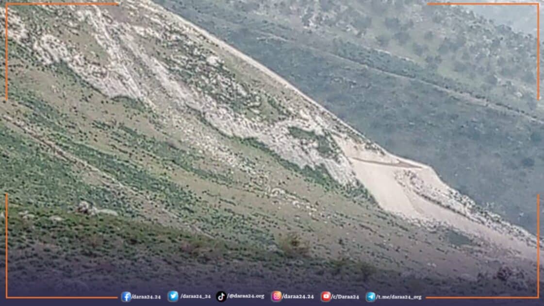 WhatsApp Image 2025 02 08 at 2.19.39 PM