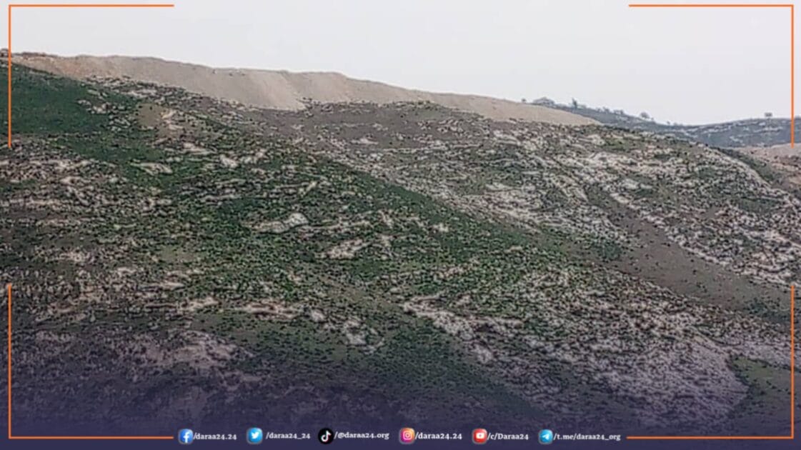 WhatsApp Image 2025 02 08 at 2.19.39 PM 4