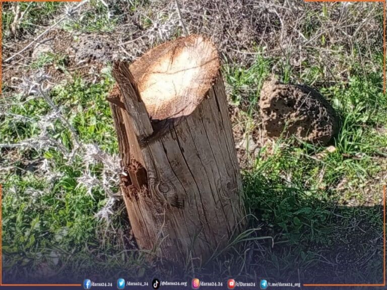 من بقايا أحد الأعمدة التي سُرقتْ في محيط قرية عابدين في حوض اليرموك غربي درعا.