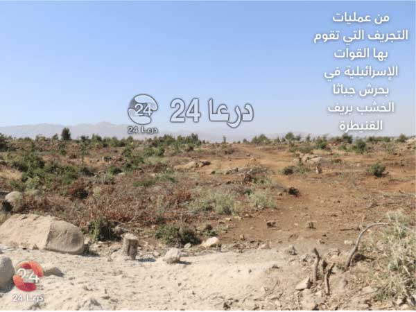 من عمليات تجريف حرش جباثا الخشب