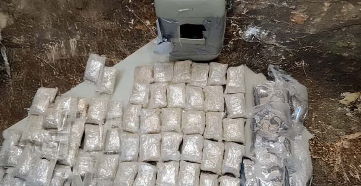 الجيش الأردني يحبط محاولة تهريب مخدرات بواسطة بالونات موجهة على الحدود الشرقية