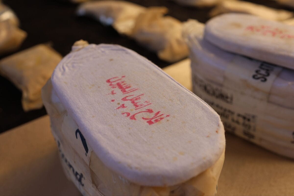 فرع مكافحة المخدّرات يضبط كميات كبيرة من المواد المخدّرة