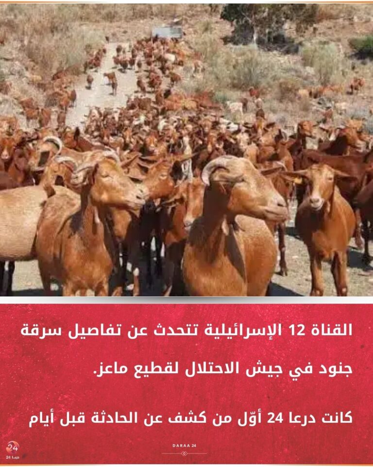 القناة 12 الإسرائيلية تتحدث عن تفاصيل سرقة جنود في جيش الاحتلال لقطيع ماعز.