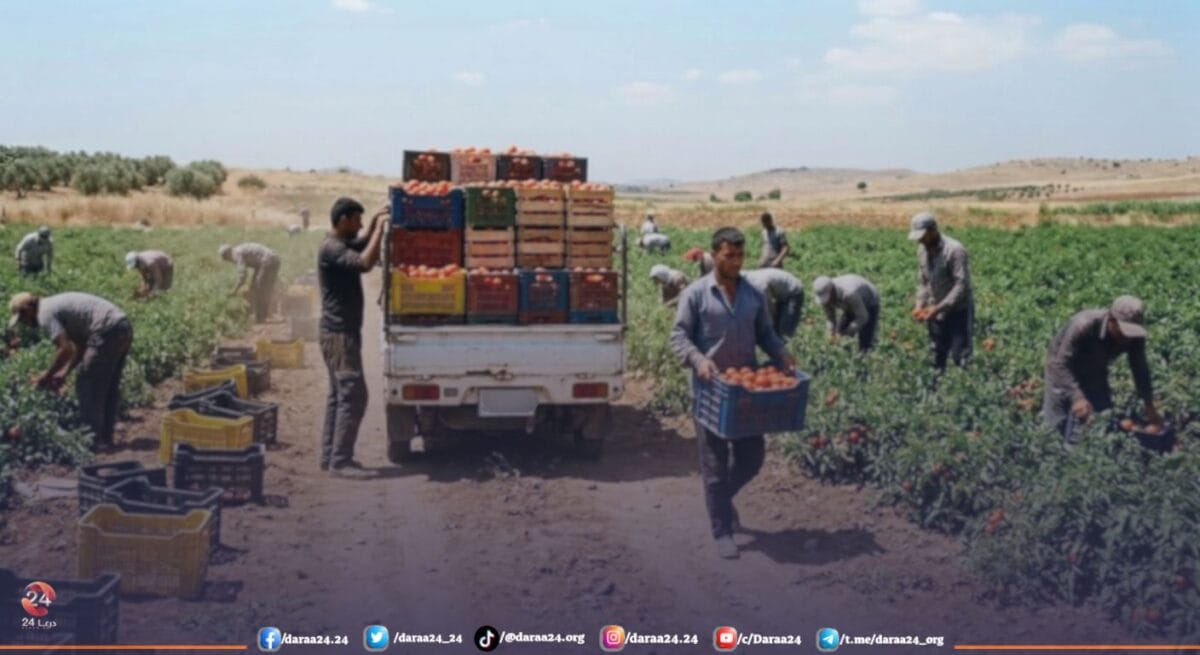 البطالة في الجنوب السوري: واقع يومي صعب وأرقام مرتفعة 1 البطالة في الجنوب السوري: واقع يومي صعب وأرقام مرتفعة