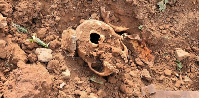 العثور على مقبرة جماعية شمالي درعا