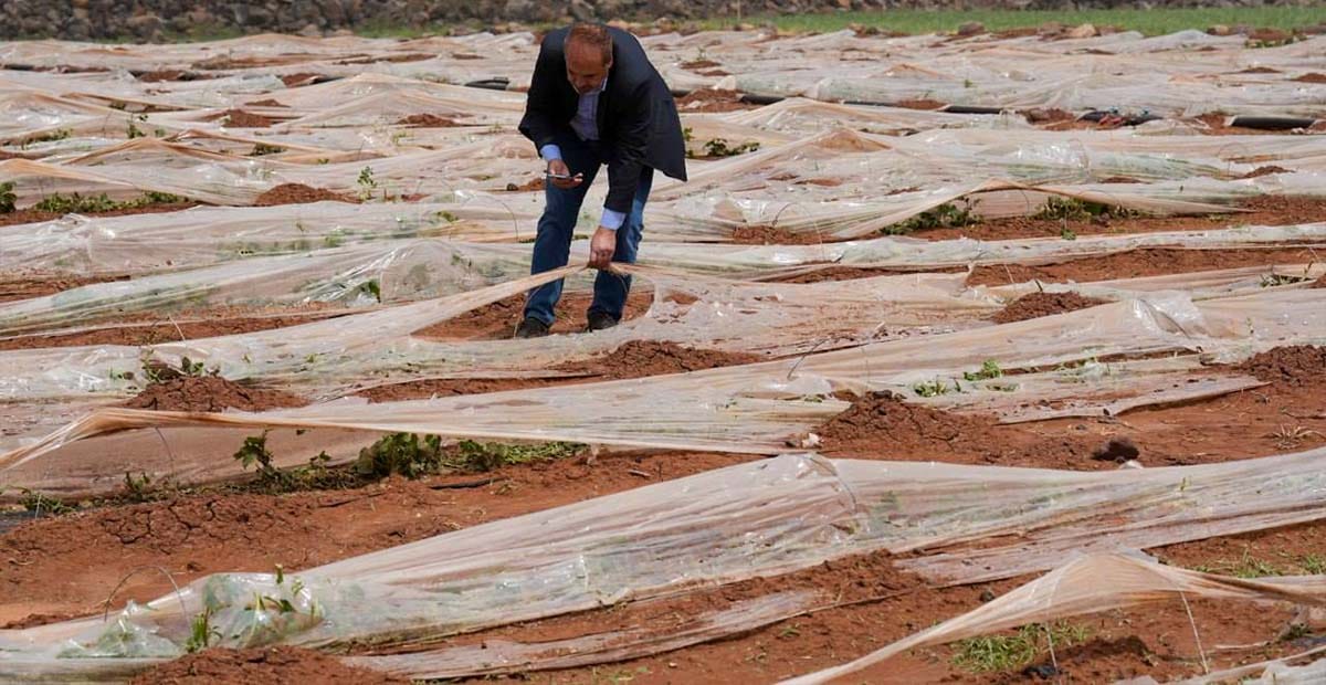 تضرر المحاصيل الزراعية نتيجة العاصفة الجوية في بعض مناطق الزريف الغربي من محافظة درعا 1