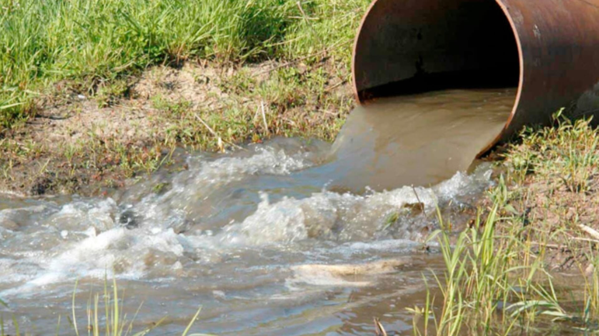 محافظة درعا تصدر تعميماً يمنع ري المزروعات بمياه الصرف الصحي 1 محافظة درعا تصدر تعميماً يمنع ري المزروعات بمياه الصرف الصحي