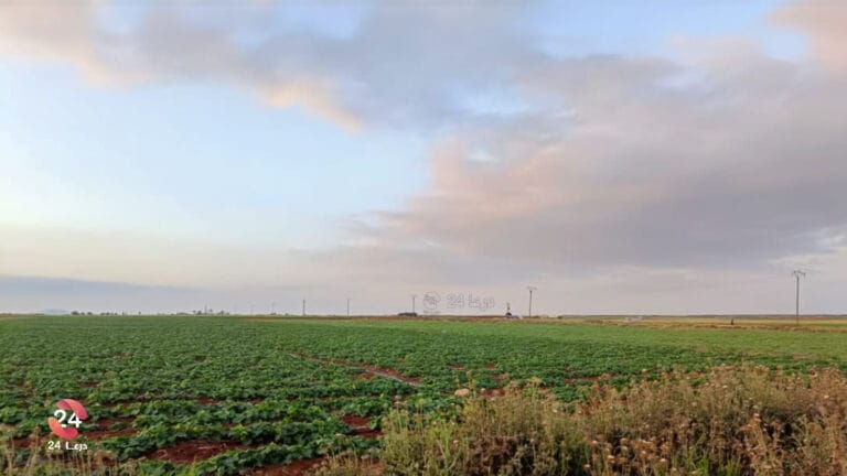 مزروعات في ريف درعا الغربي